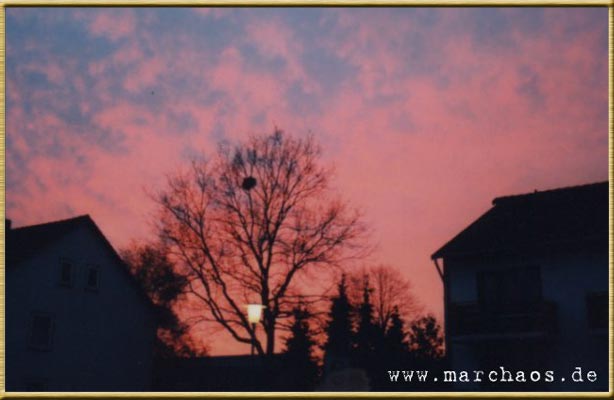 Fotogalerie - www.marchaos.de