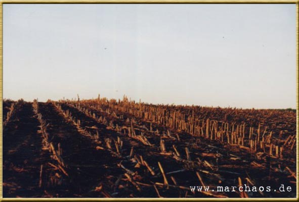 Fotogalerie - www.marchaos.de