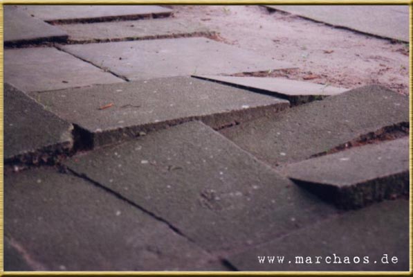 Fotogalerie - www.marchaos.de