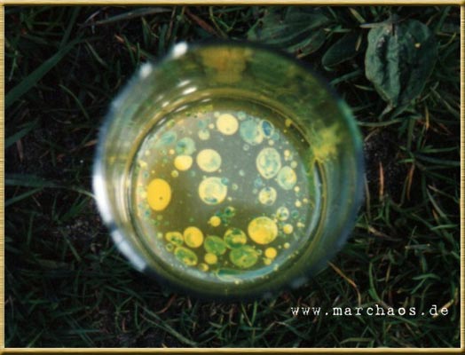 Fotogalerie - www.marchaos.de