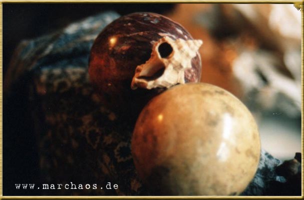 Fotogalerie - www.marchaos.de