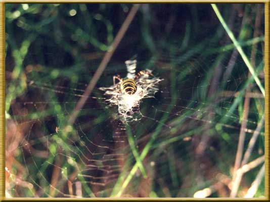 Fotogalerie - www.marchaos.de