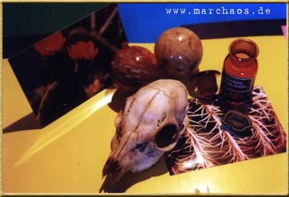 13 Strange Pix - #XY01