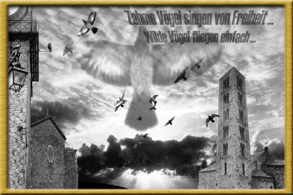Wild Birds