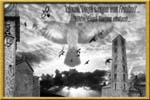 Wild Birds