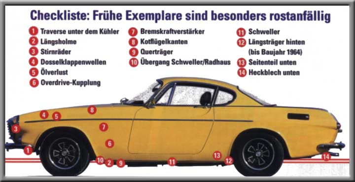 Rostgefahr bei fr�hen Exemplaren