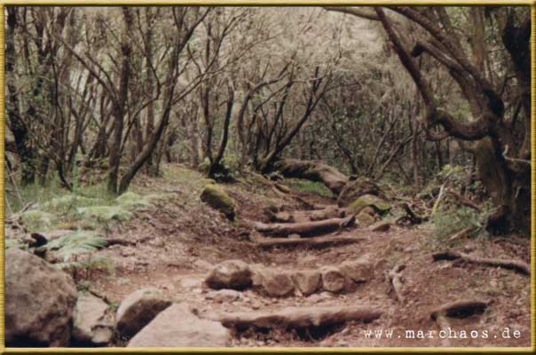 La Gomera - www.marchaos.de Reisegalerie