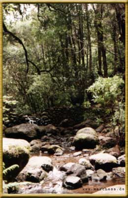 La Gomera - www.marchaos.de Reisegalerie