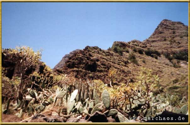 La Gomera - www.marchaos.de Reisegalerie