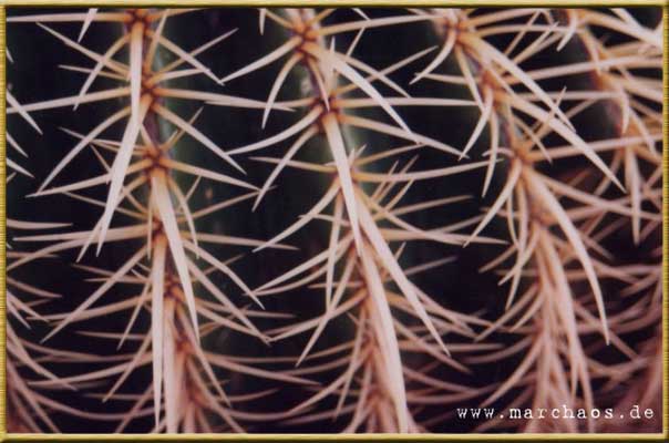 La Gomera - www.marchaos.de Reisegalerie