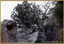 Mausklick f�r Einzelansicht